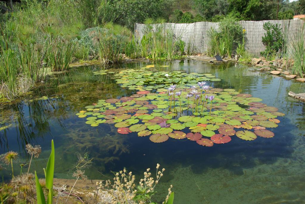 Quinta Do Arade - Casa 4 Petalas Barranco do Resgalho المظهر الخارجي الصورة