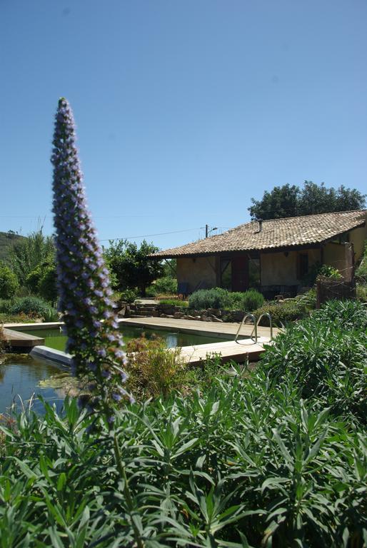 Quinta Do Arade - Casa 4 Petalas Barranco do Resgalho المظهر الخارجي الصورة